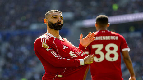 نبض الملاعب