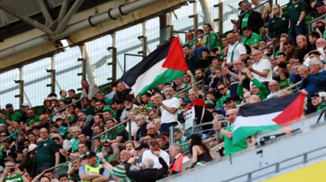 نبض الملاعب