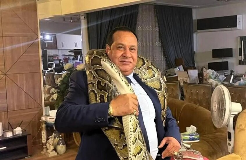 أشهر محام مصري يدافع عن نخنوخ