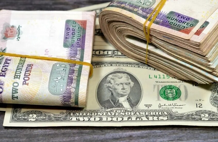 الدولار يشعل الجدل في مصر.. وخبير يفجر مفاجأة لـRT بشأن "السعر العادل"