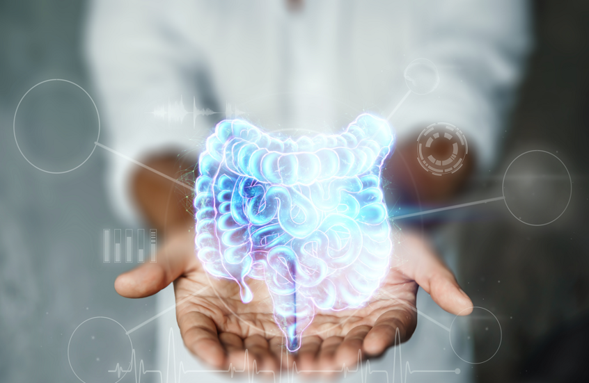 اللحوم الحمراء وعلاقتها المقلقة بتفاقم التهاب الأمعاء