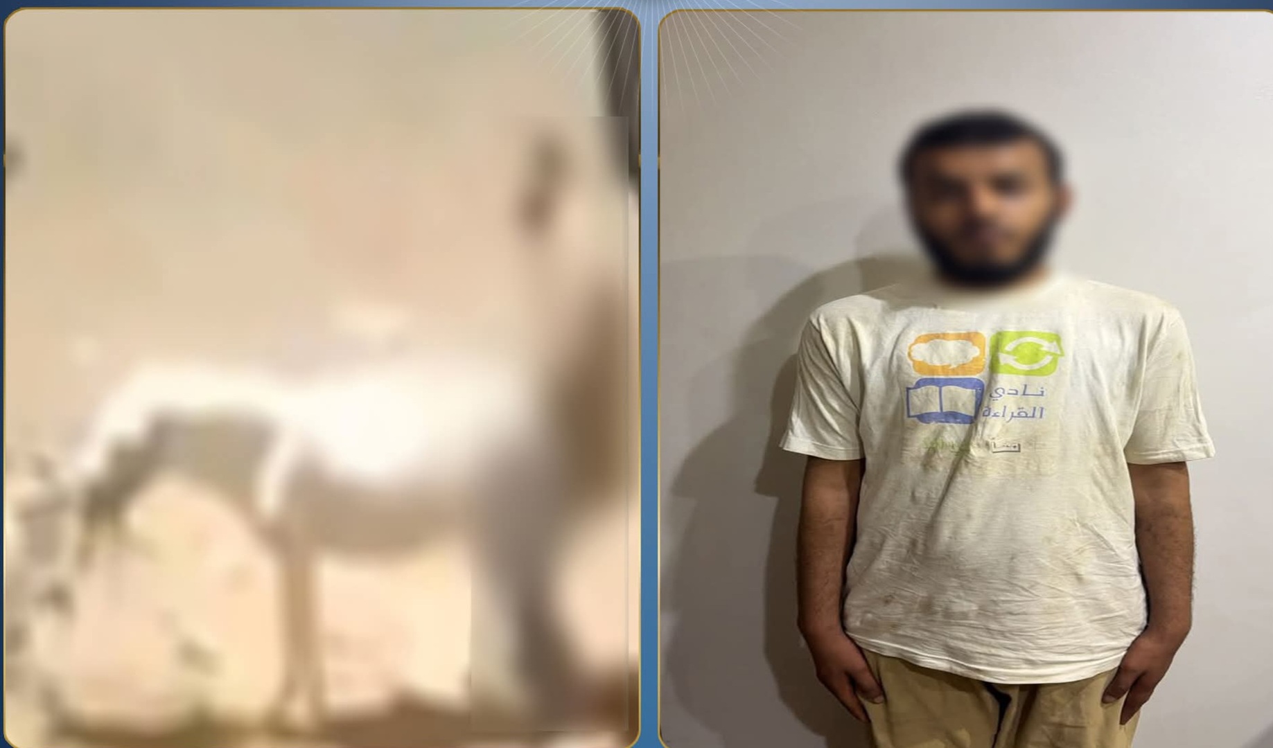 ضبط مصري اعتدى جنسيا على حمار.. الداخلية تكشف كواليس الفيديو الغريب