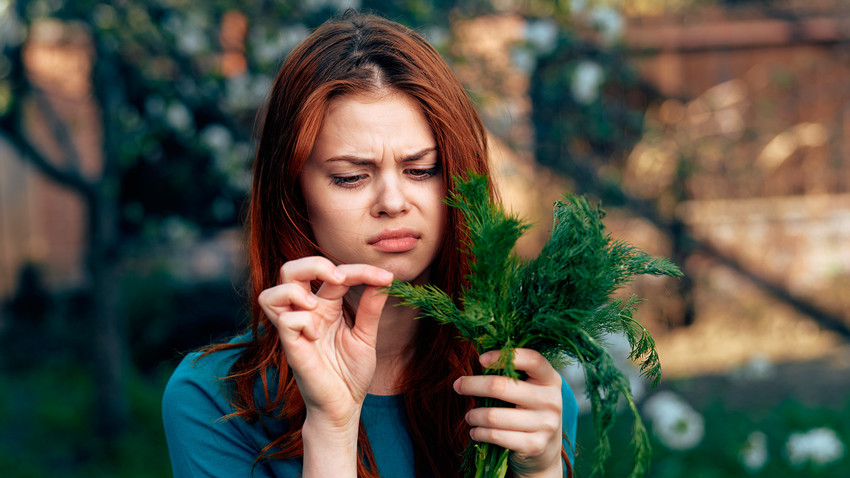 Russian dill: Love it or hate it.