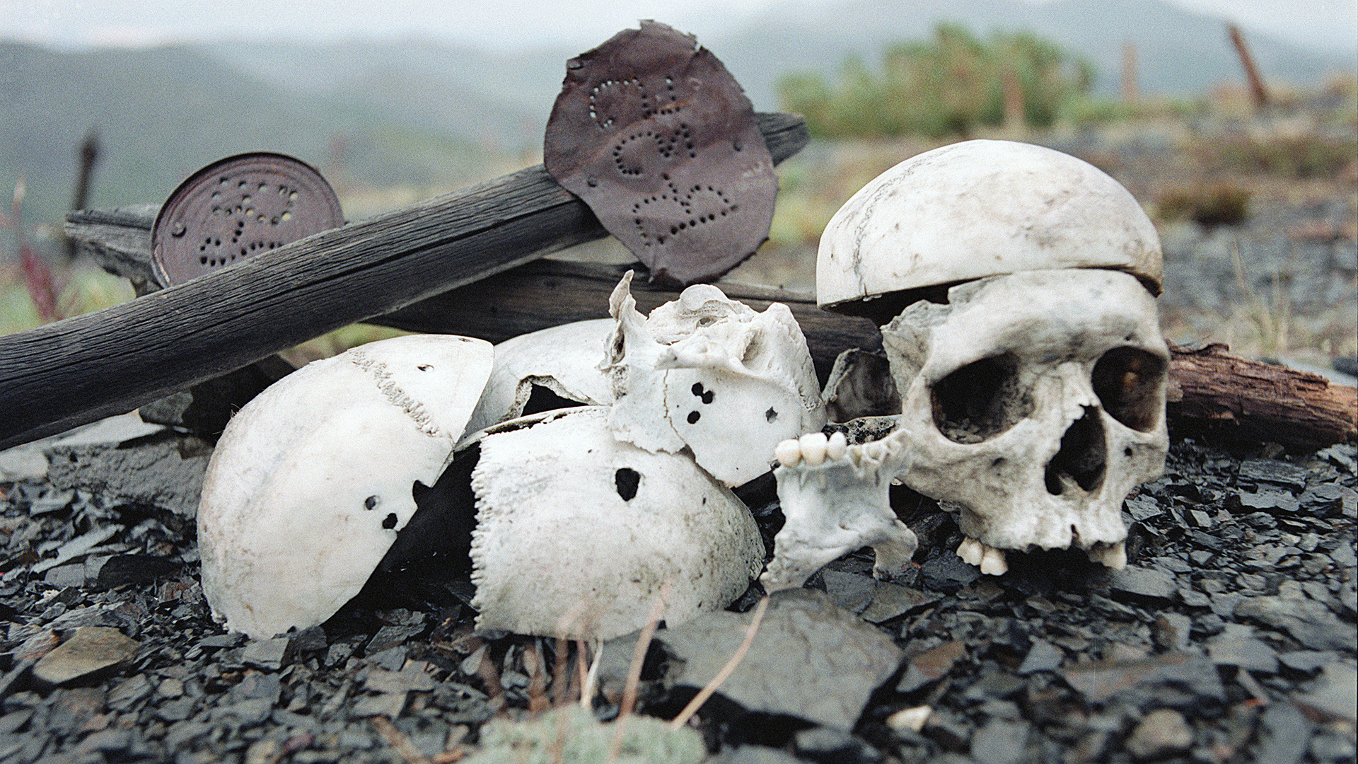 Kosti mučenih obsojencev v koncentracijskem taborišču Butugičag v Kolimi. 