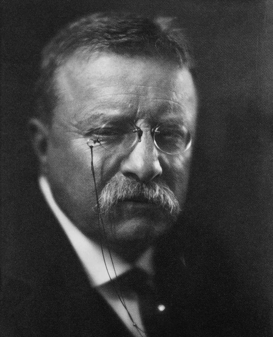 Theodore Roosevelt 
