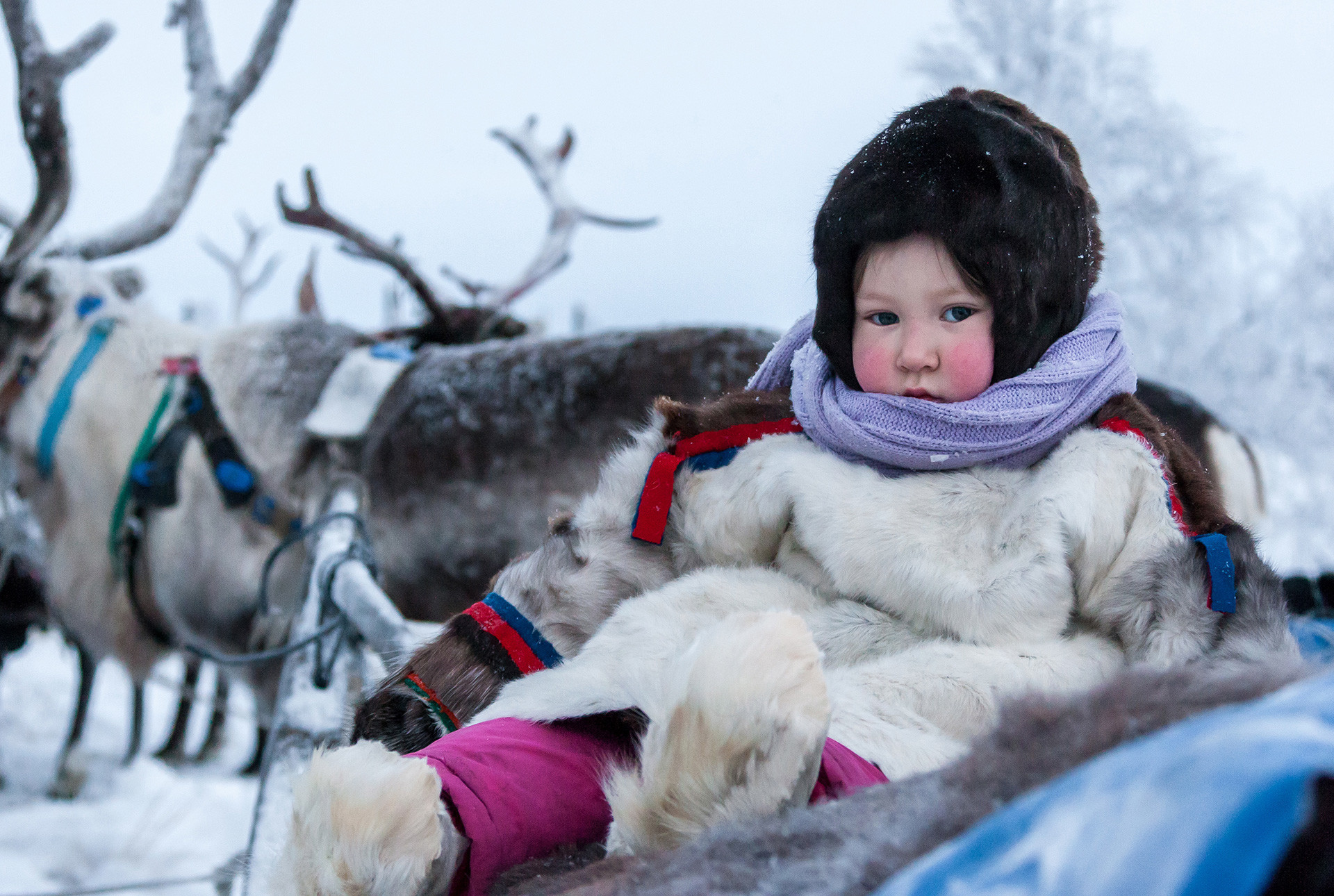 Criança nômade em fazenda de renas no extremo norte russo