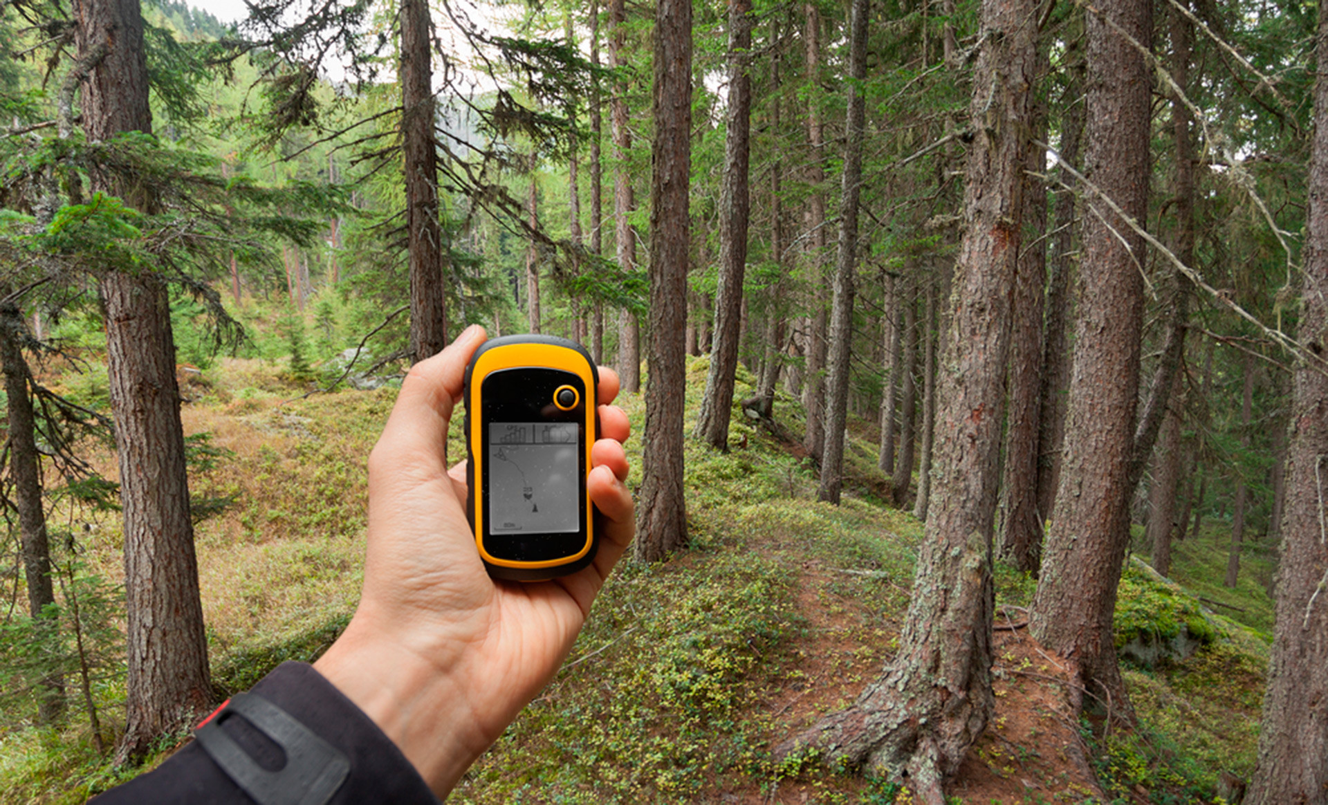 1 из 3 в котором можно заблудиться. GPS трекер Гармин. Навигатор в лесу. GPS В лесу. Навигация в лесу.