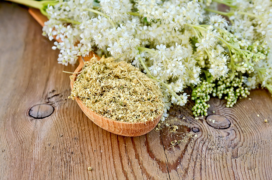 Dried flowers of meadowsweet.