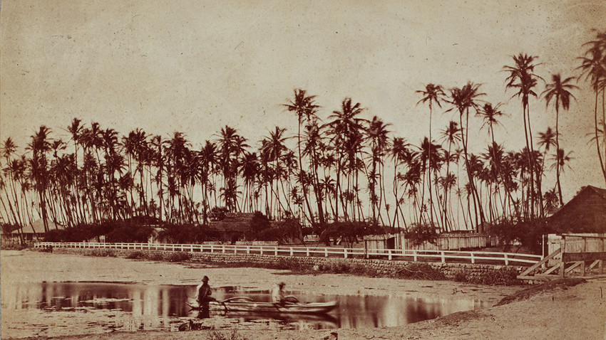 Le Hawaii all’inizio del XIX secolo