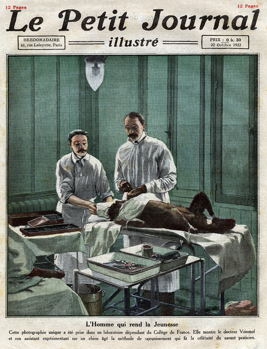 Serguêi Vôronov (1866-1951) e seu assistente operam um cão usando seu método de rejuvenescimento por transplante de testículos em um laboratório na França. Capa do jornal francês “Le Petit Journal Illustre”, de 22 de outubro de 1922. 