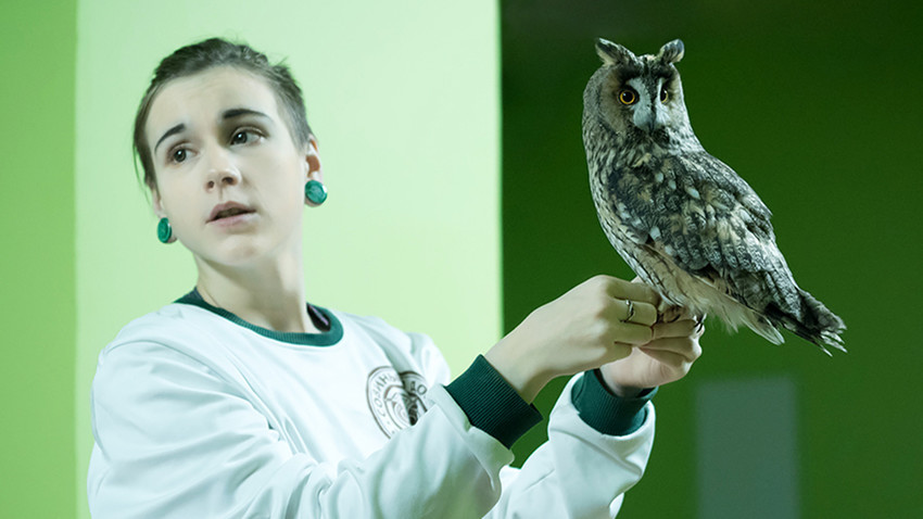 Anna Potapova with Morty, long-eared owl.