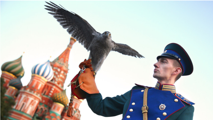 Pripadnik Kremeljske ornitološke službe na zaključni proslavi Mednarodnega vojaškega glasbenega festival na Rdečem trgu.
