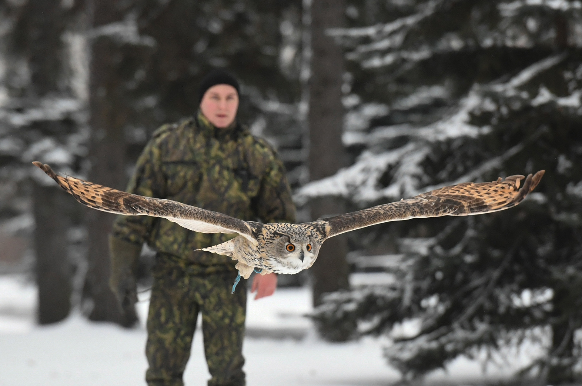 A serviceman of the Falcon Service of Moscow Kremlin's Commandant Office is seen here with an eagle owl.
