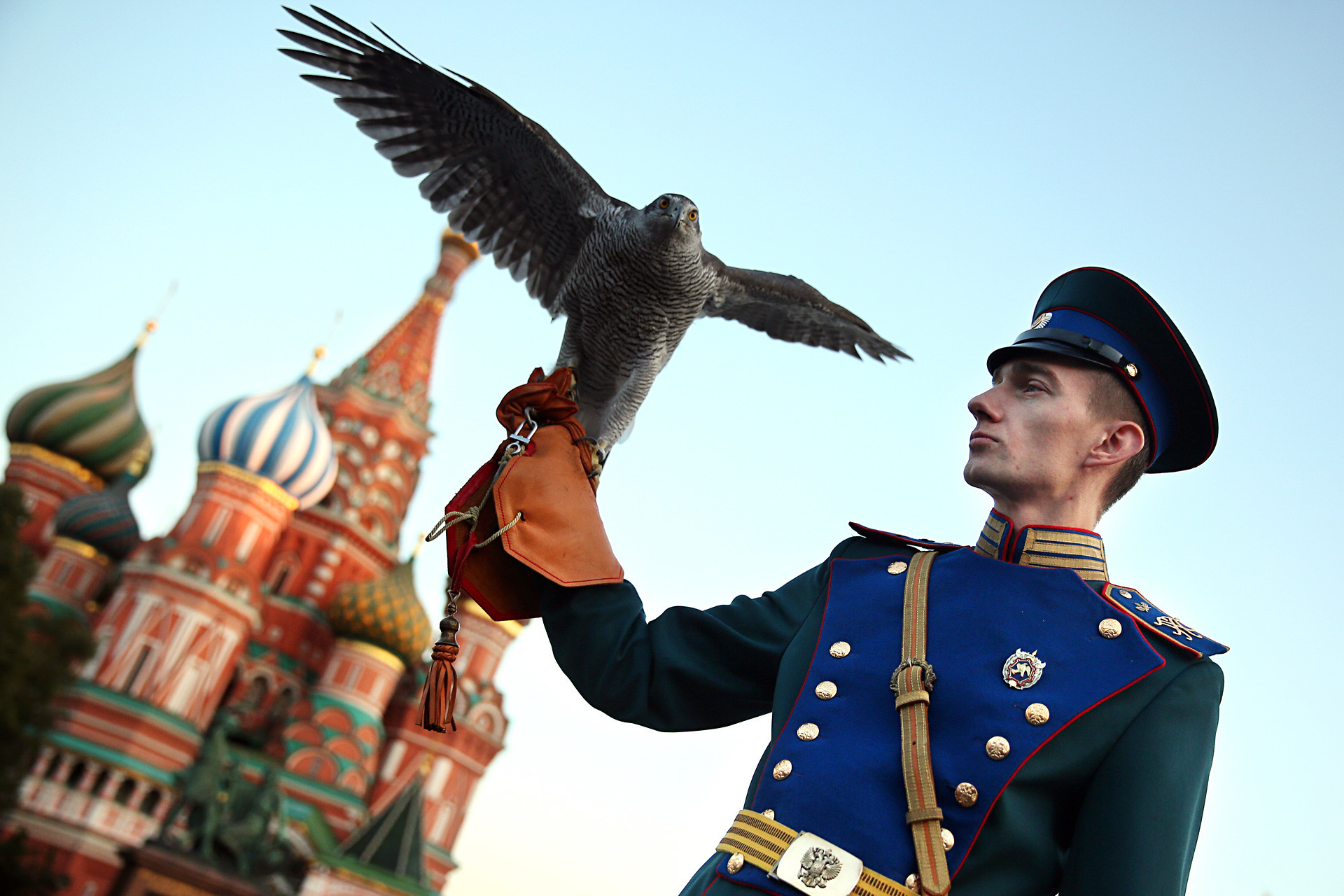 Membro do serviço ornitológico do Kremlin na cerimônia de encerramento do Festival de Música Militar Internacional Torre Spasskaia, na Praça Vermelha. 