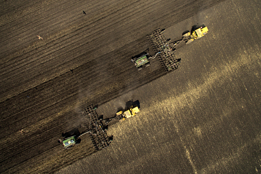 Земеделски машини жънат зърнени култури в Новосибирска област.
