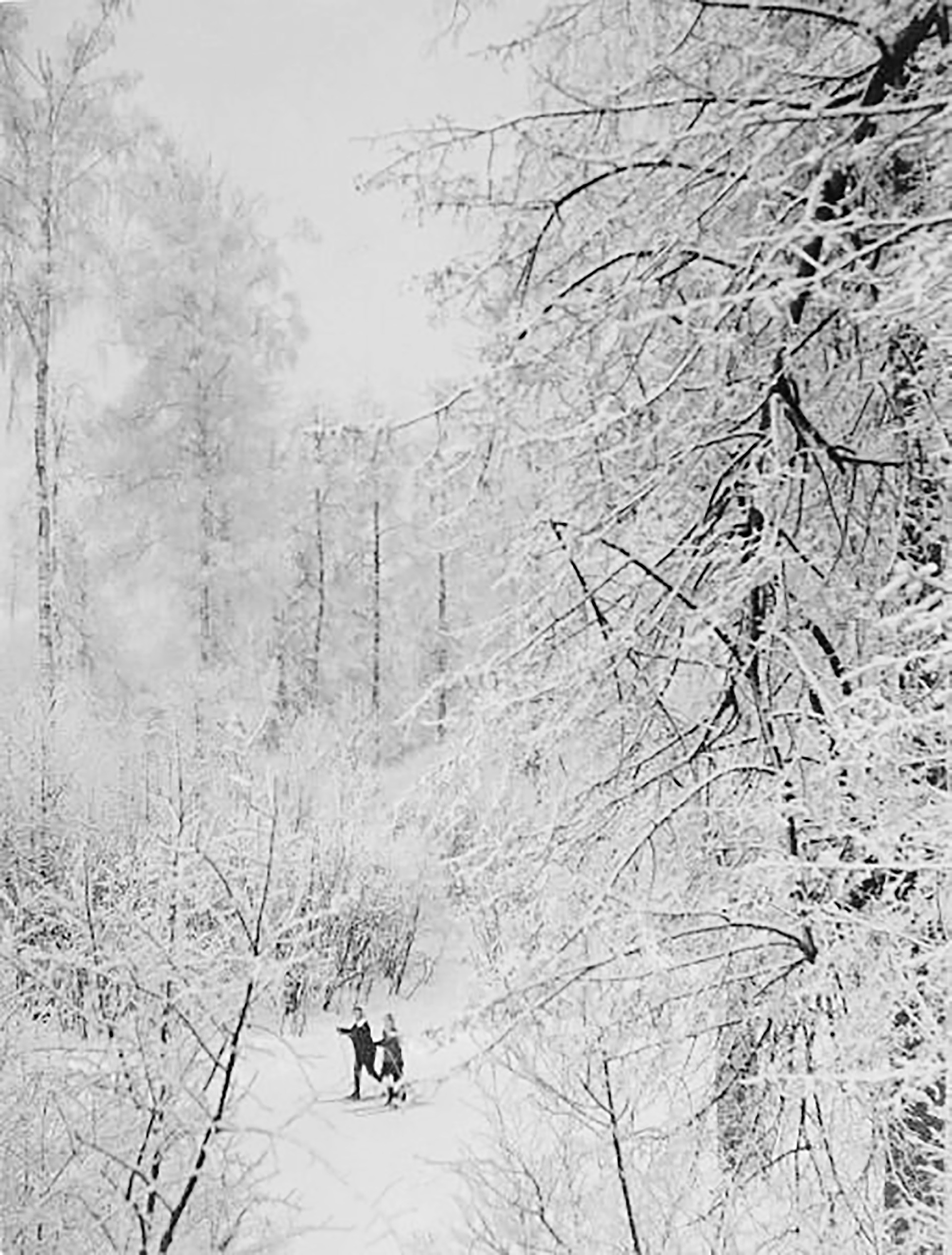 Skifahren ist seit jeher ein russischer Wintersportklassiker. Zu Sowjetzeiten gehörte Skilaufen sogar zum Schulsportprogramm.