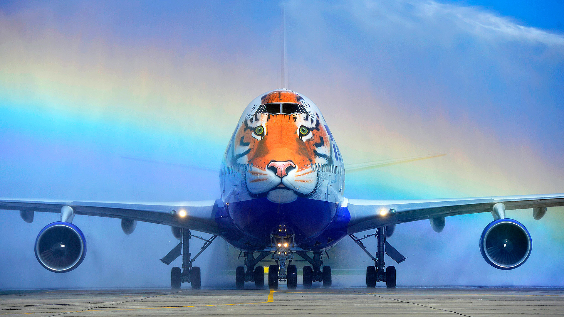 The ‘tiger’ plane is known as the “Striped flight.”