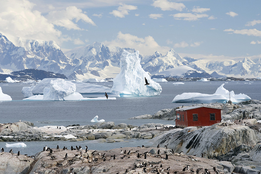 Imagen la Antártida.