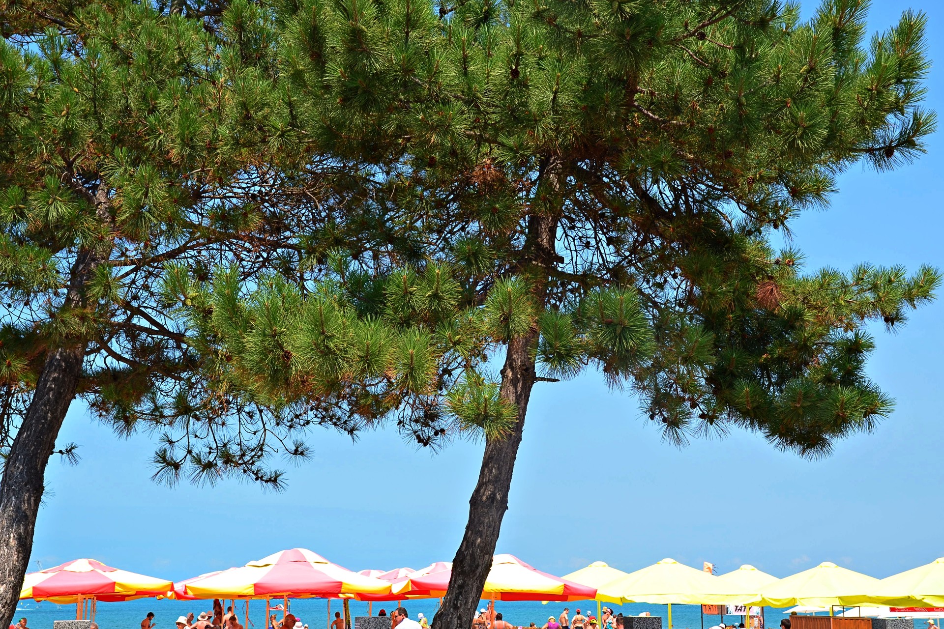 Unter den Sonnenschirmen am Strand wird gegrillter Mais, Limo und Bier verkauft.