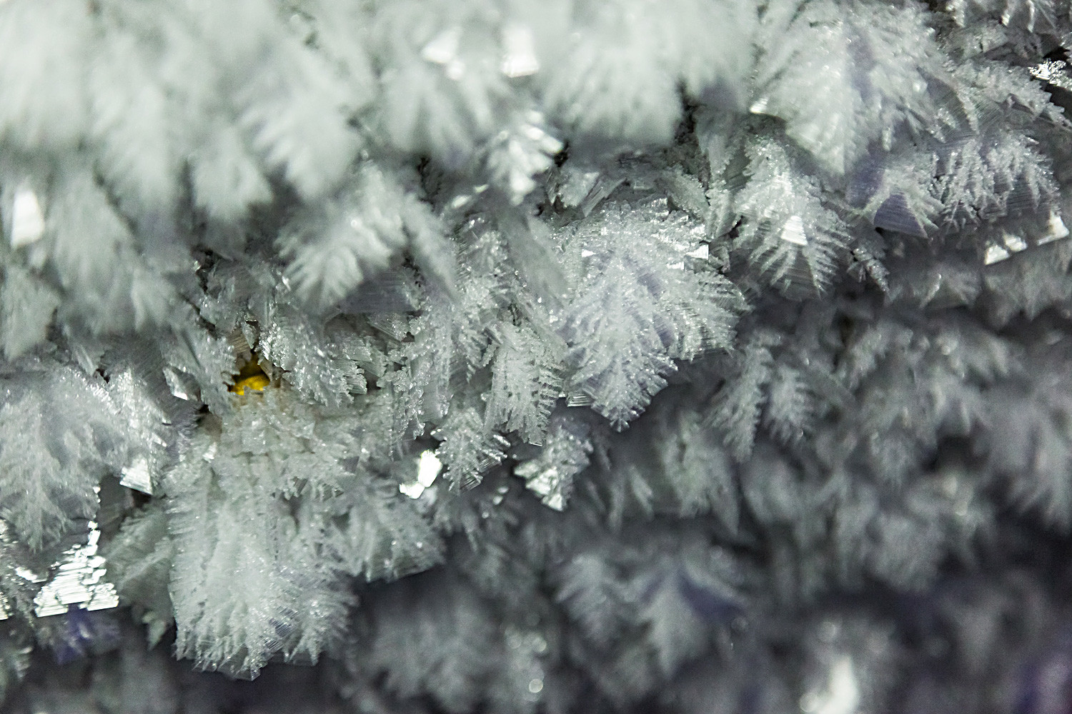 Die Eisblöcke wachsen jeden Winter weiter: Wenn wärmere Luft aus den Tiefen der Höhle an die Oberfläche strömt, entstehen dort durch Schmelzen und erneutes Gefrieren traumhafte Eiskristalle. 