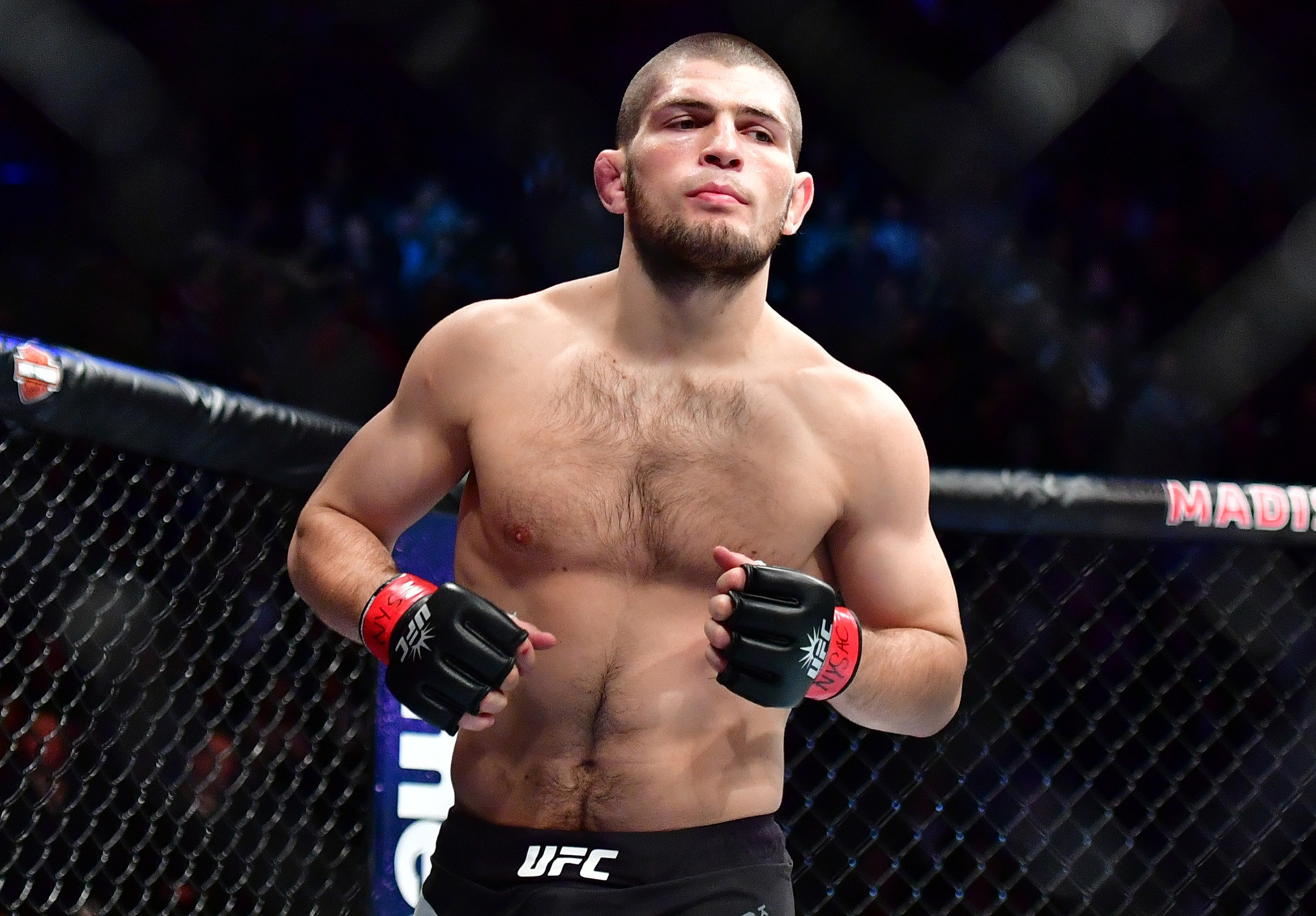 TOP 5: Lutadores russos 🇷🇺  Depois do campeão Khabib, quem é o