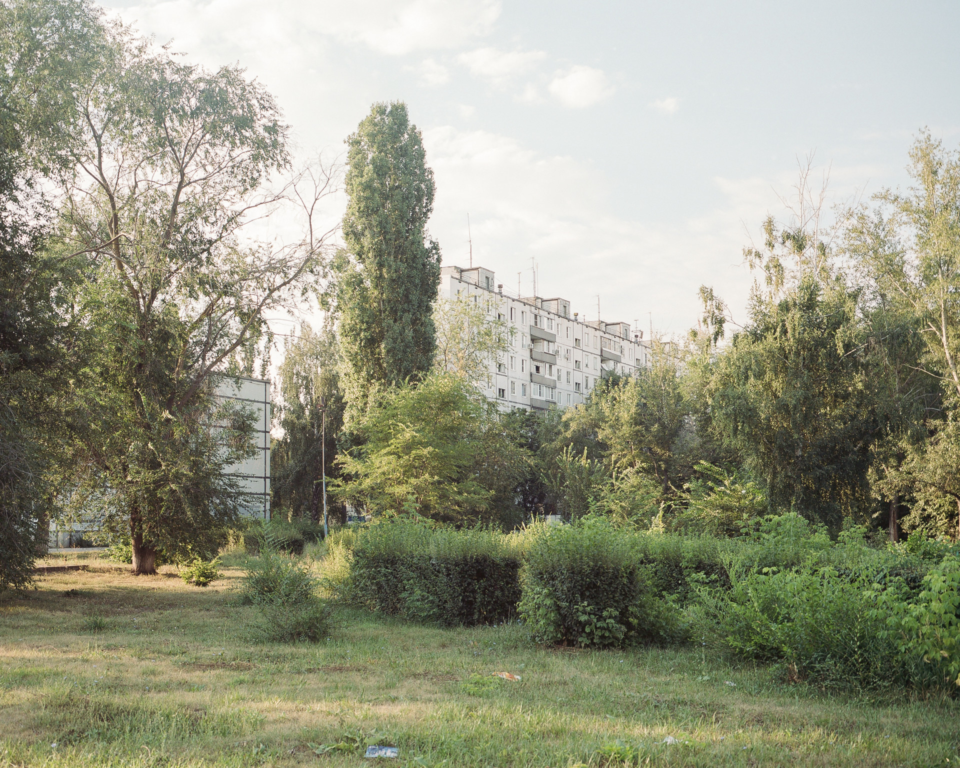 Anastasia Tsayder, Arcadia, Togliatti, 2016 