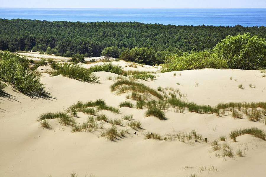 Kurska prevlaka, dom najviših pješčanih dina u Europi
