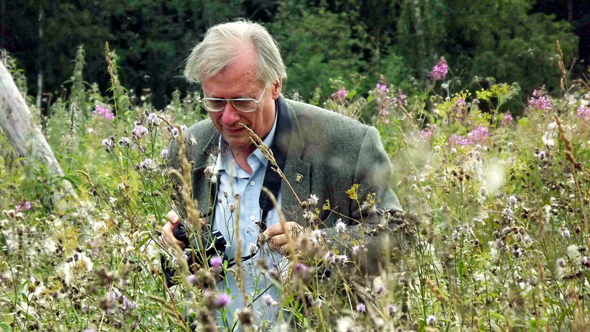 William Brumfield in the field near village of Predtecha, Totma Region (Vologda Province), August 2011