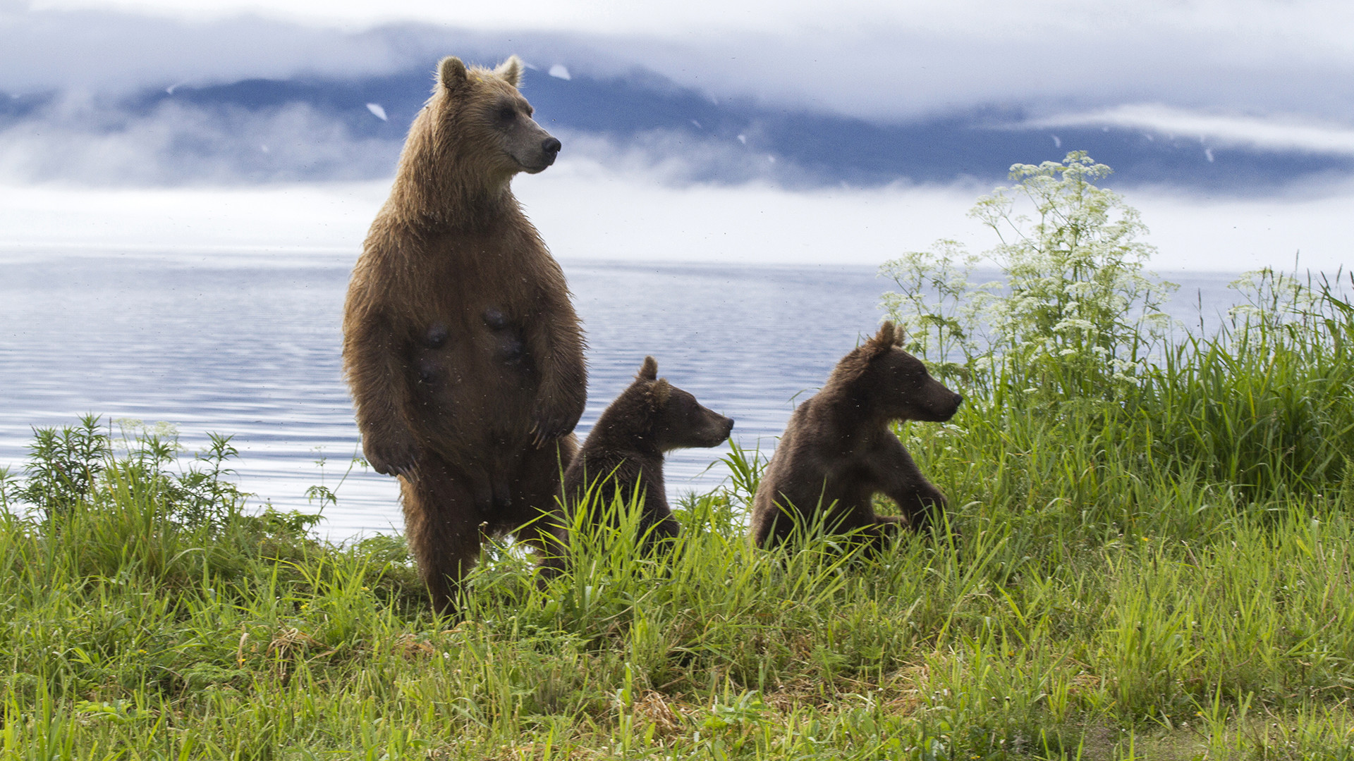 Kamchatka is in the of russia