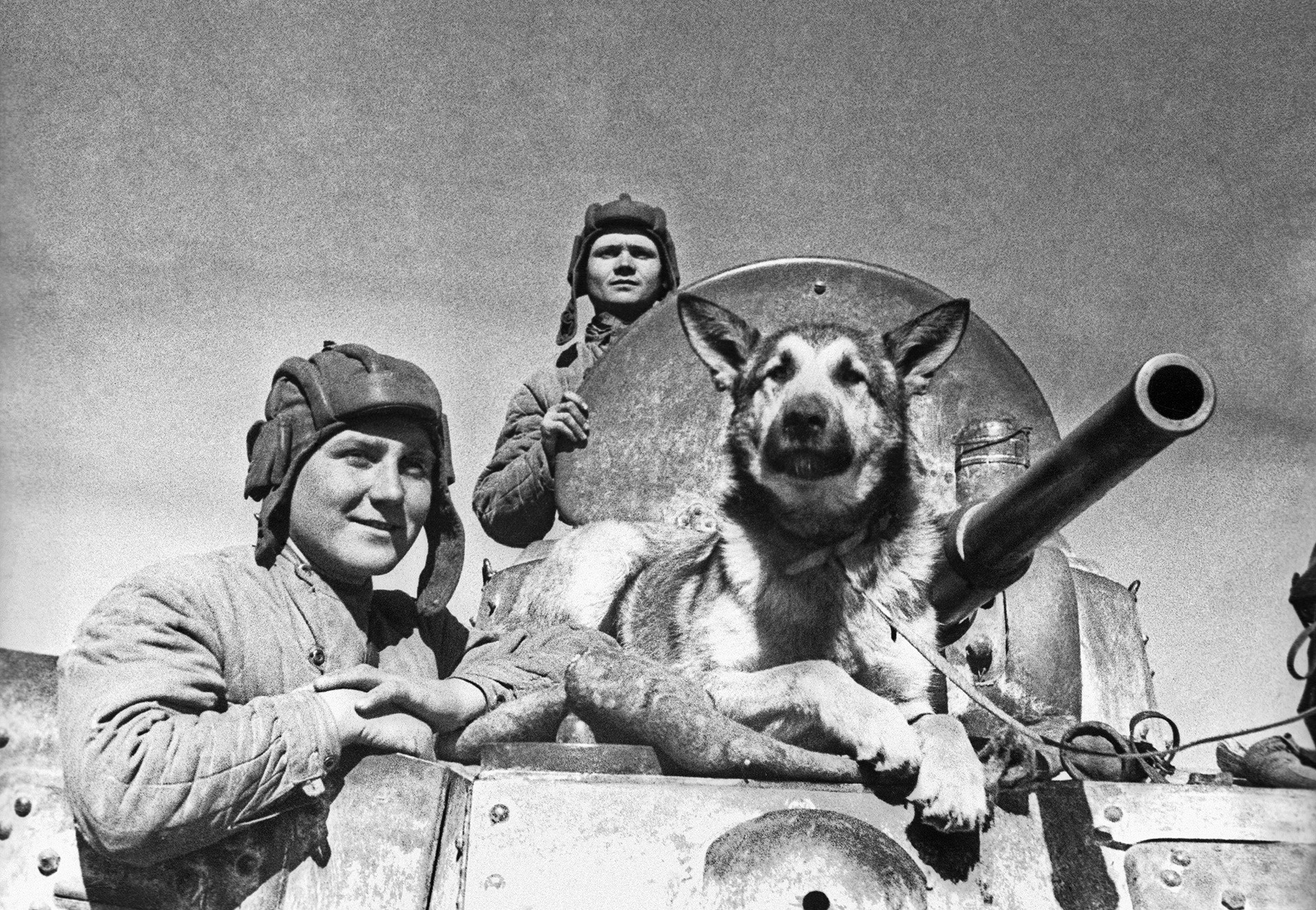 Na sovjetskem oklepniku BA-10: Višji narednik E. P. Enderkson, narednik V. P. Poršakov, T. D. Derenko in ovčar Džulbars.