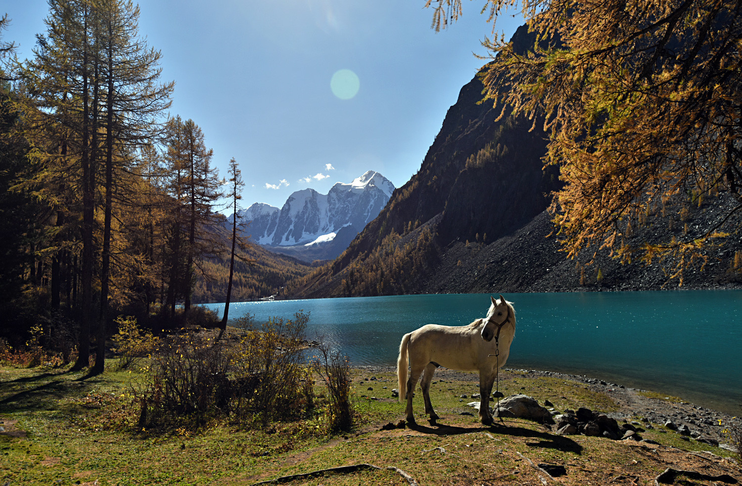 Nižnješavlinsko jezero u Koš-Agačkom rejonu Republike Altaj.