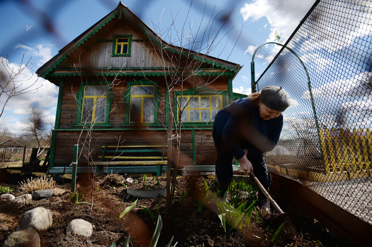 A dacha resident works on the farmland at the settlement of Pankovka, Novgorod Region