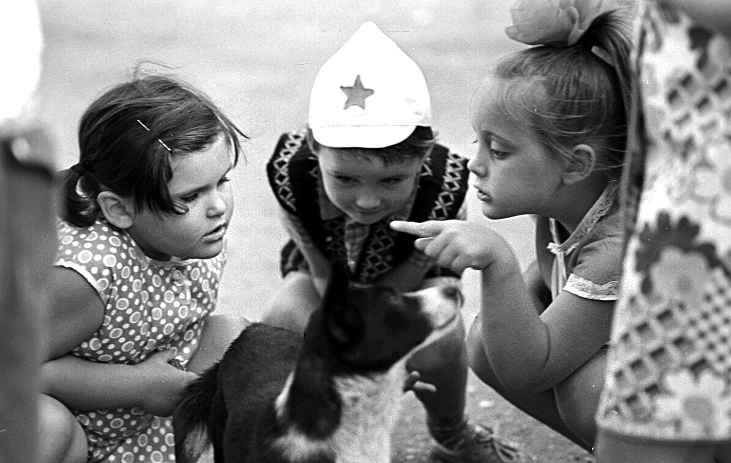 Crianças brincando com um cachorro na Crimeia.