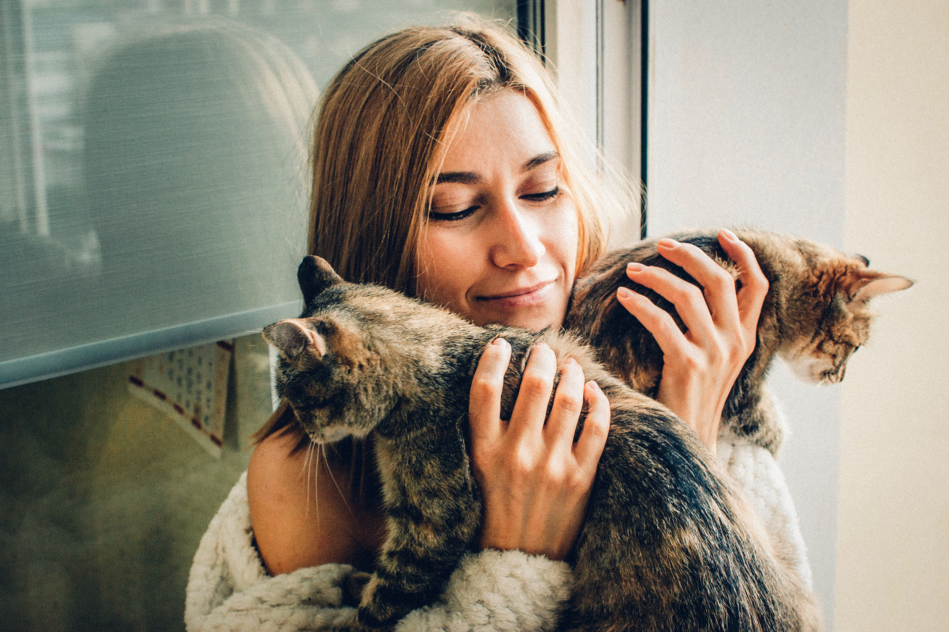 Folklore has widely popularized the following images: A woman who lives alone has many cats (the more cats, the more the situation is out of control).