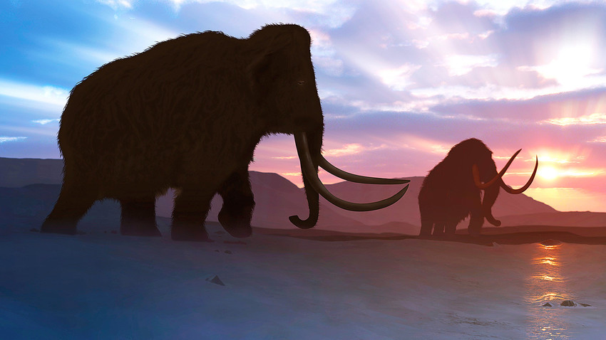 Anomalia no DNA de mamutes pode ter contribuído para sua extinção
