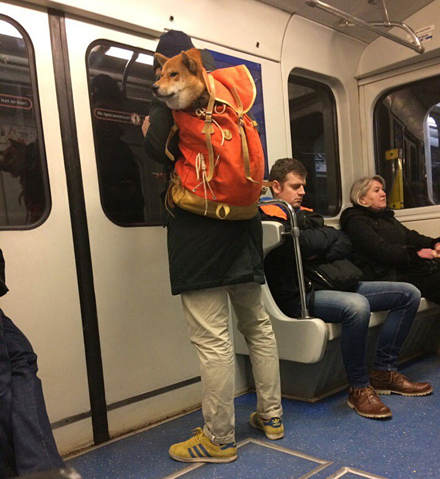 Чел в метро. Люди в метро. Смешные люди в метро Москвы. Люди в Московском метро. Обычные люди в метро.