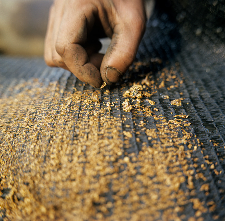 Gold dust on a flushing sluice special mat at Sputnik Prospectors' Cooperative. - - -