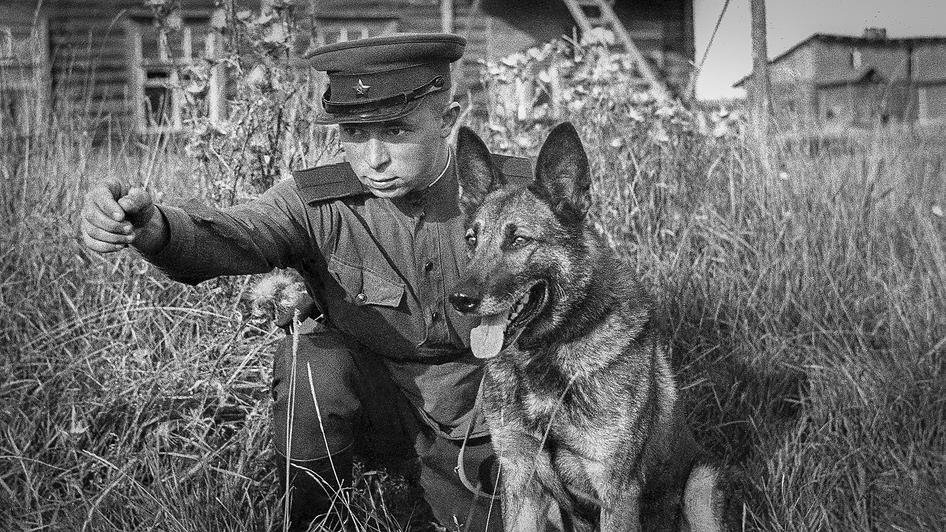 Одбрана Лењинграда,1943 година. 