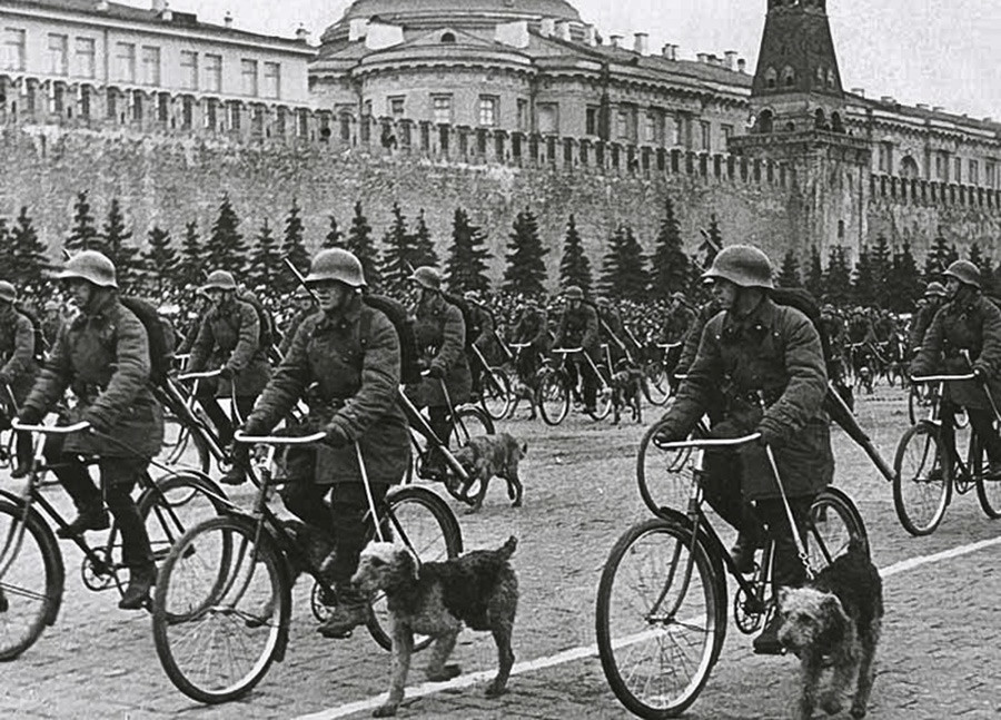 赤の広場でのパレード、モスクワ。自転車に乗っている軍用犬の調教師。