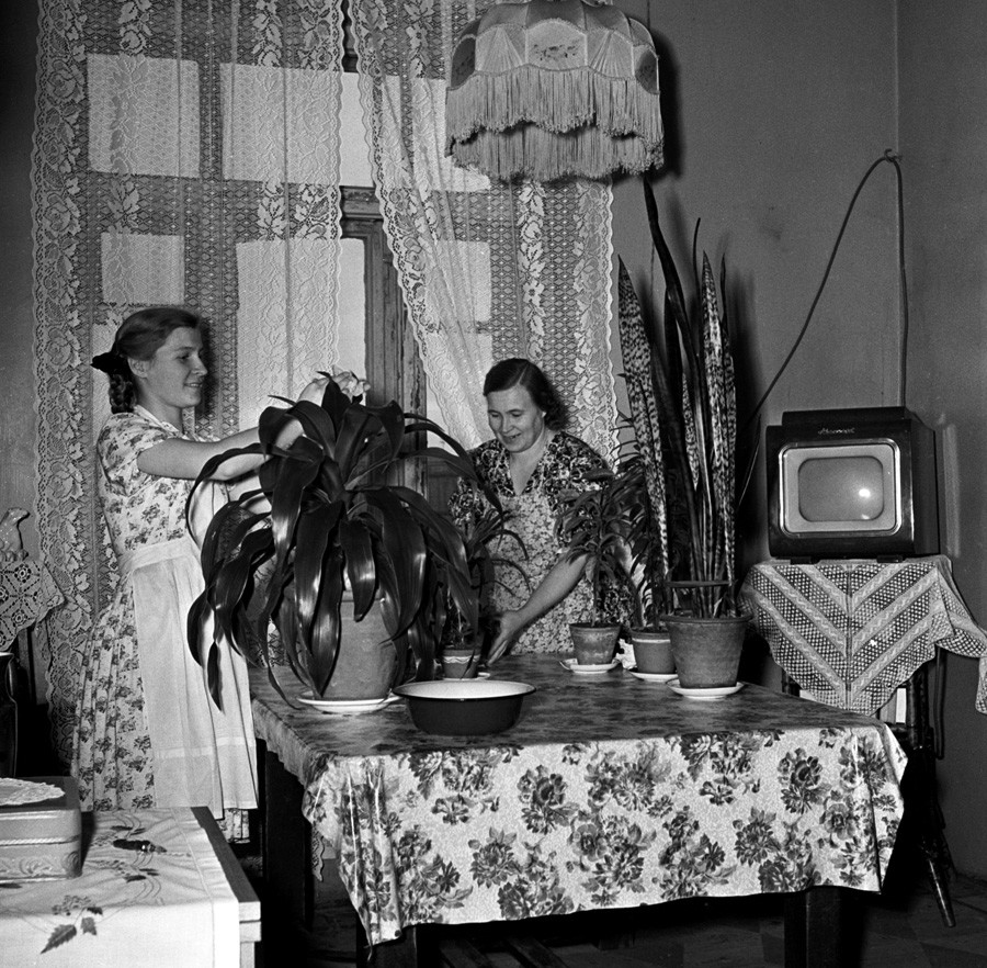 10年生のタチヤナ・クルグローワが母の家事を手伝っている。1955年。