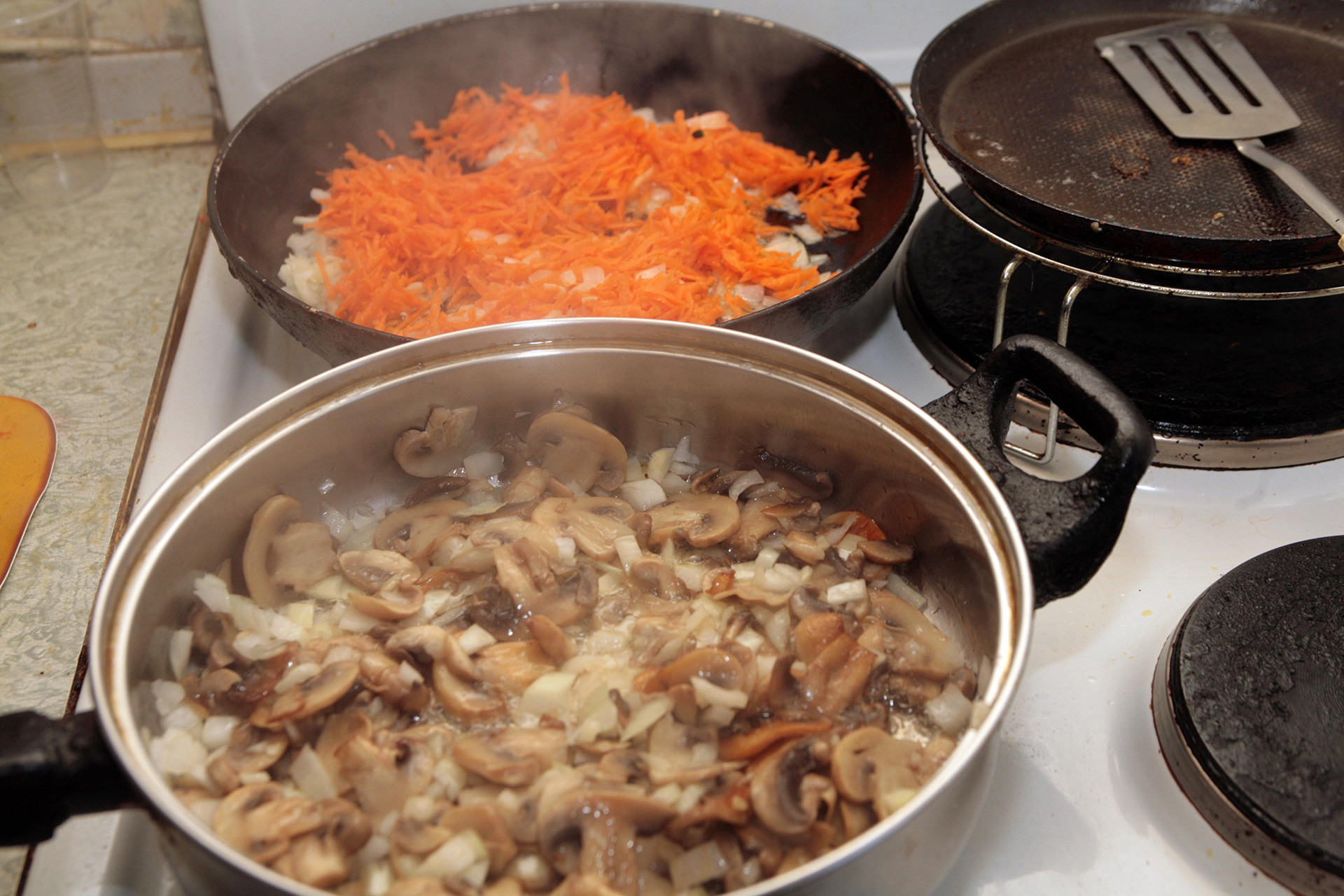 Russos cozinham cogumelos de todos os jeitos possíveis.