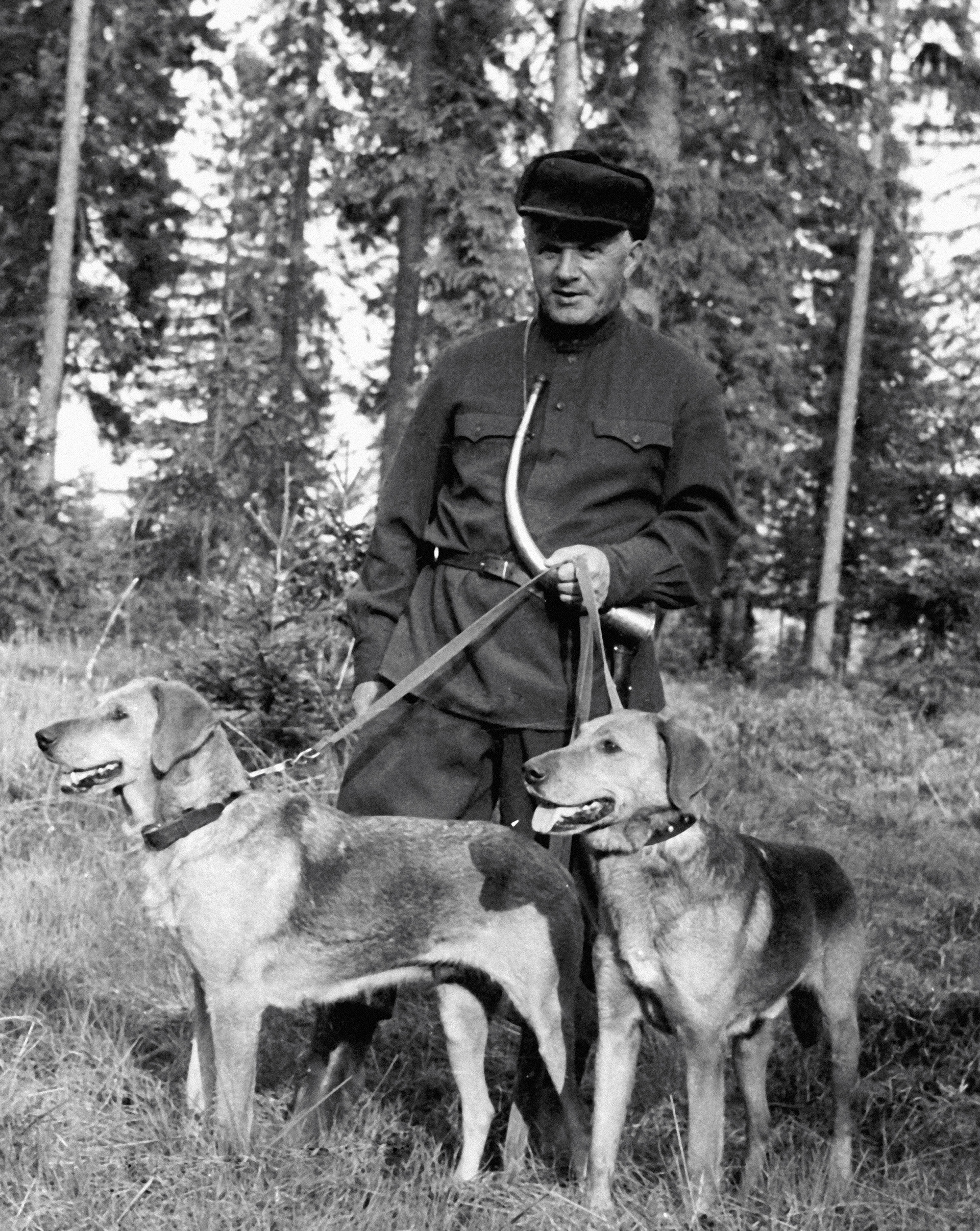 Карелски ловац са својим псима, руским гоничима Шугајем и Копејком. 