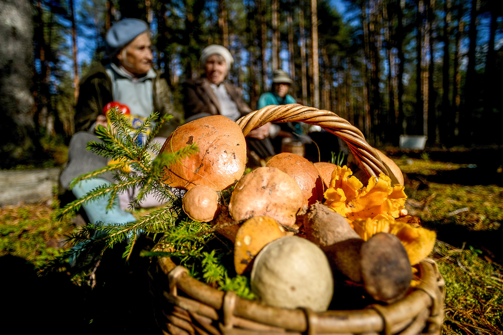 Babushkas selling mushrooms in the Novgorod Region.