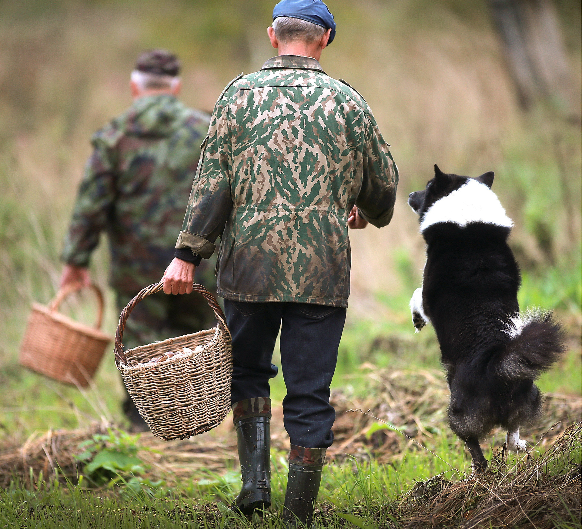 Going out into the woods and spending hours there, searching for mushrooms - almost every Russian person loves it.