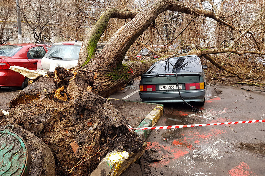 The consequences of the hurricane that hit Moscow in May 2017 and killed 18 people.