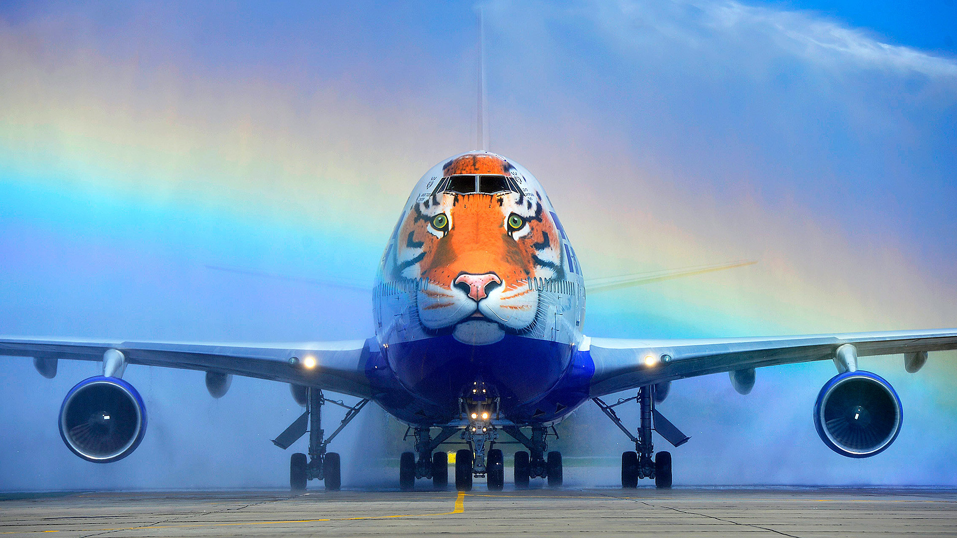 Pesawat harimau dikenal juga sebagai “Pesawat Si Belang”.