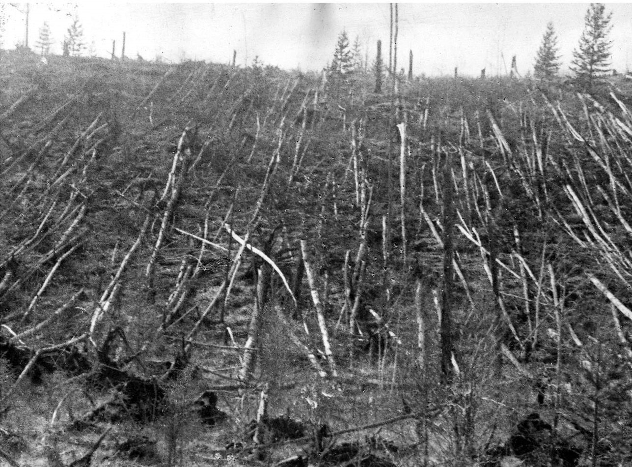Поваленный лес в районе падения Тунгусского метеорита.