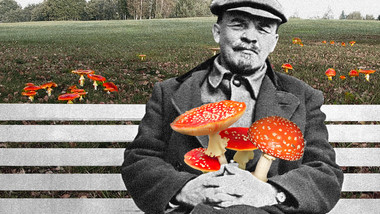 Révélations: Lénine aurait-il en réalité été un champignon?