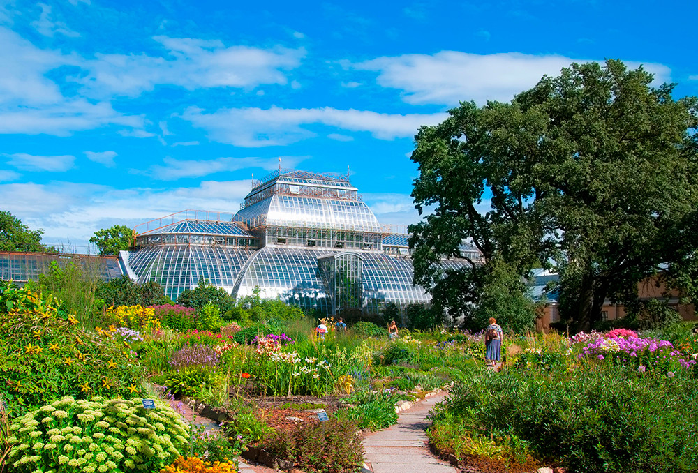 The St. Petersburg Botanical Garden 