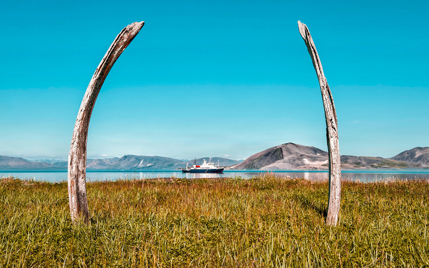 Whale Bone Alley